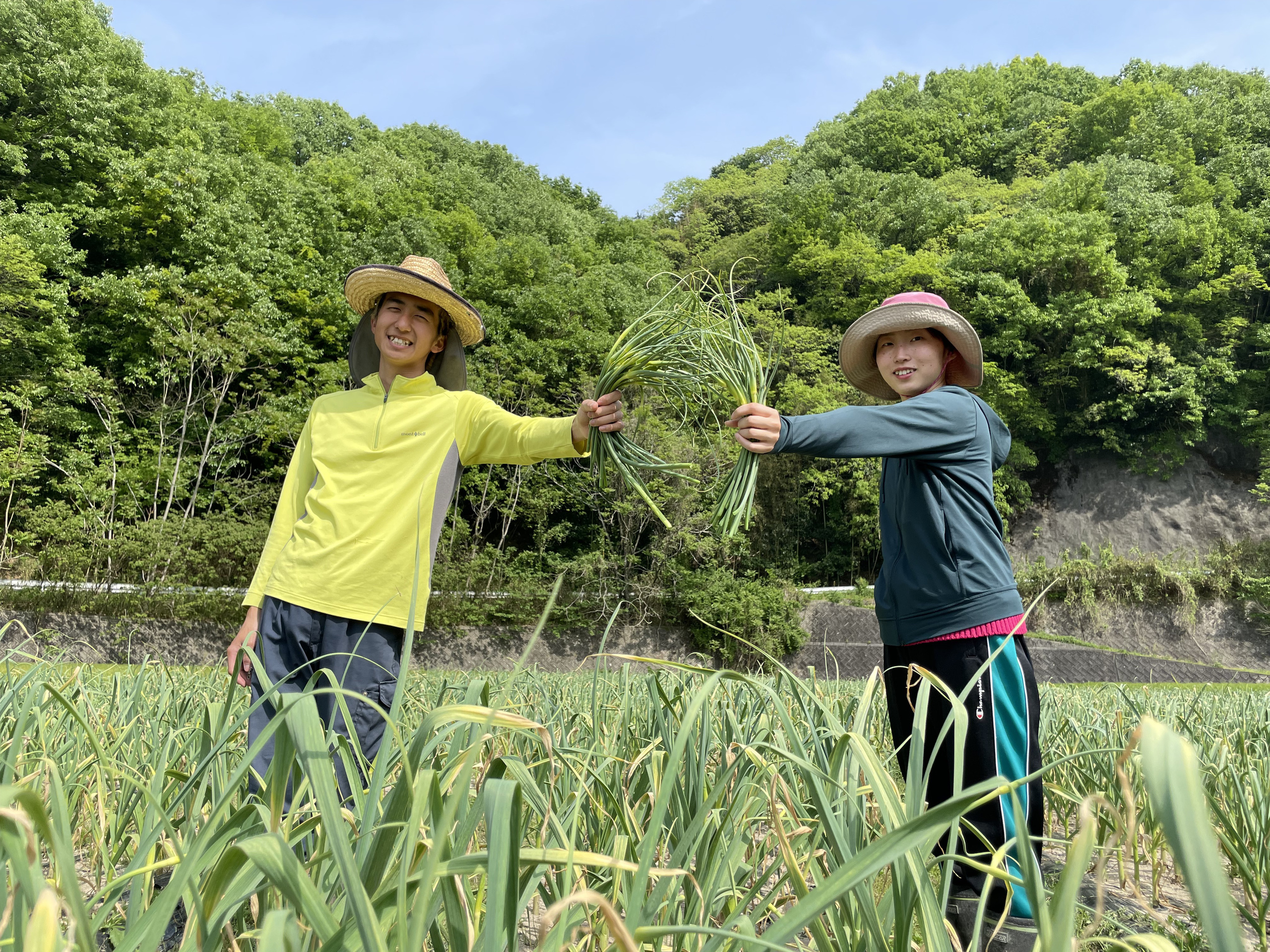 姉弟にんにくの芽