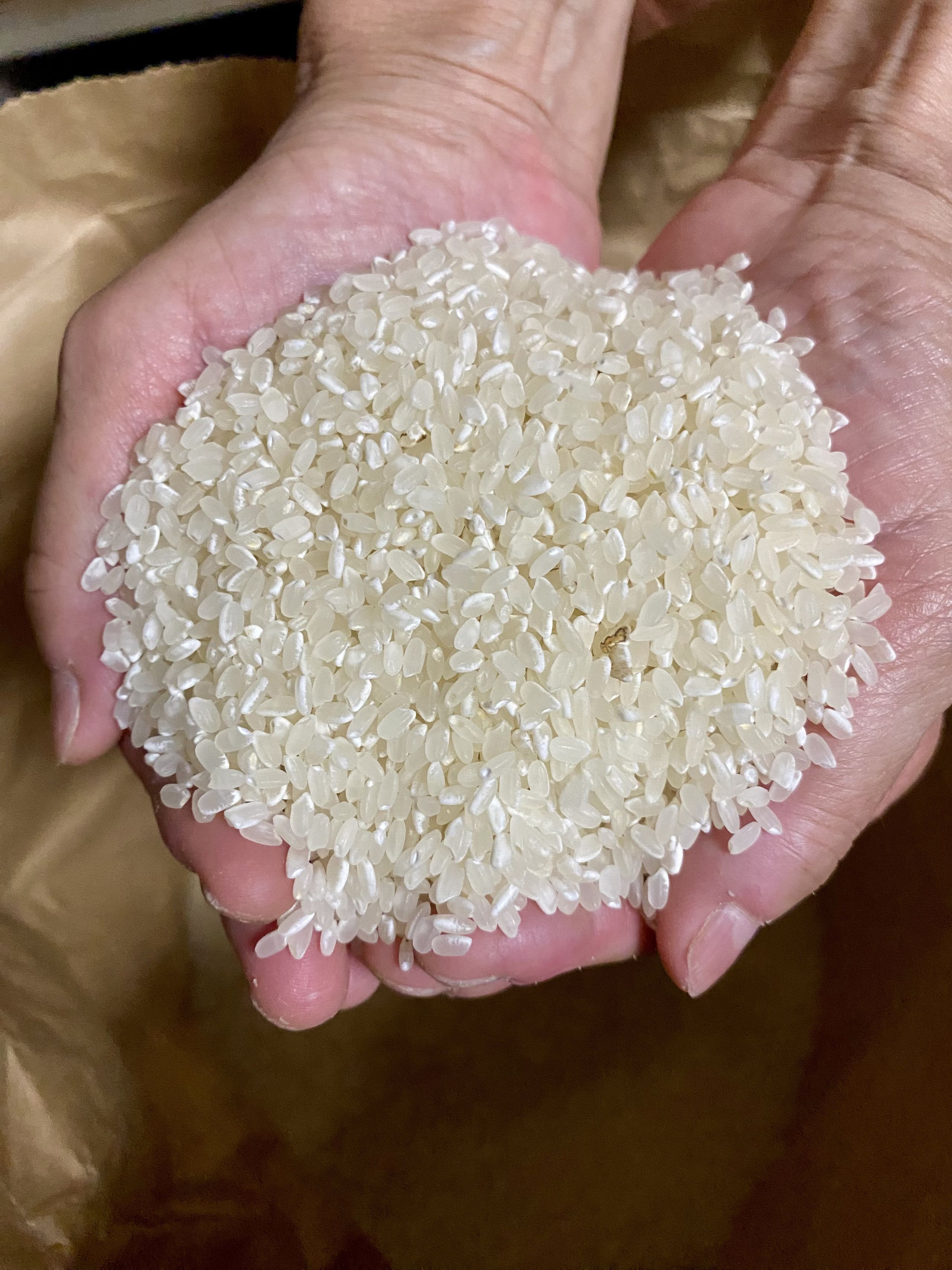 さぬきあきたこまち