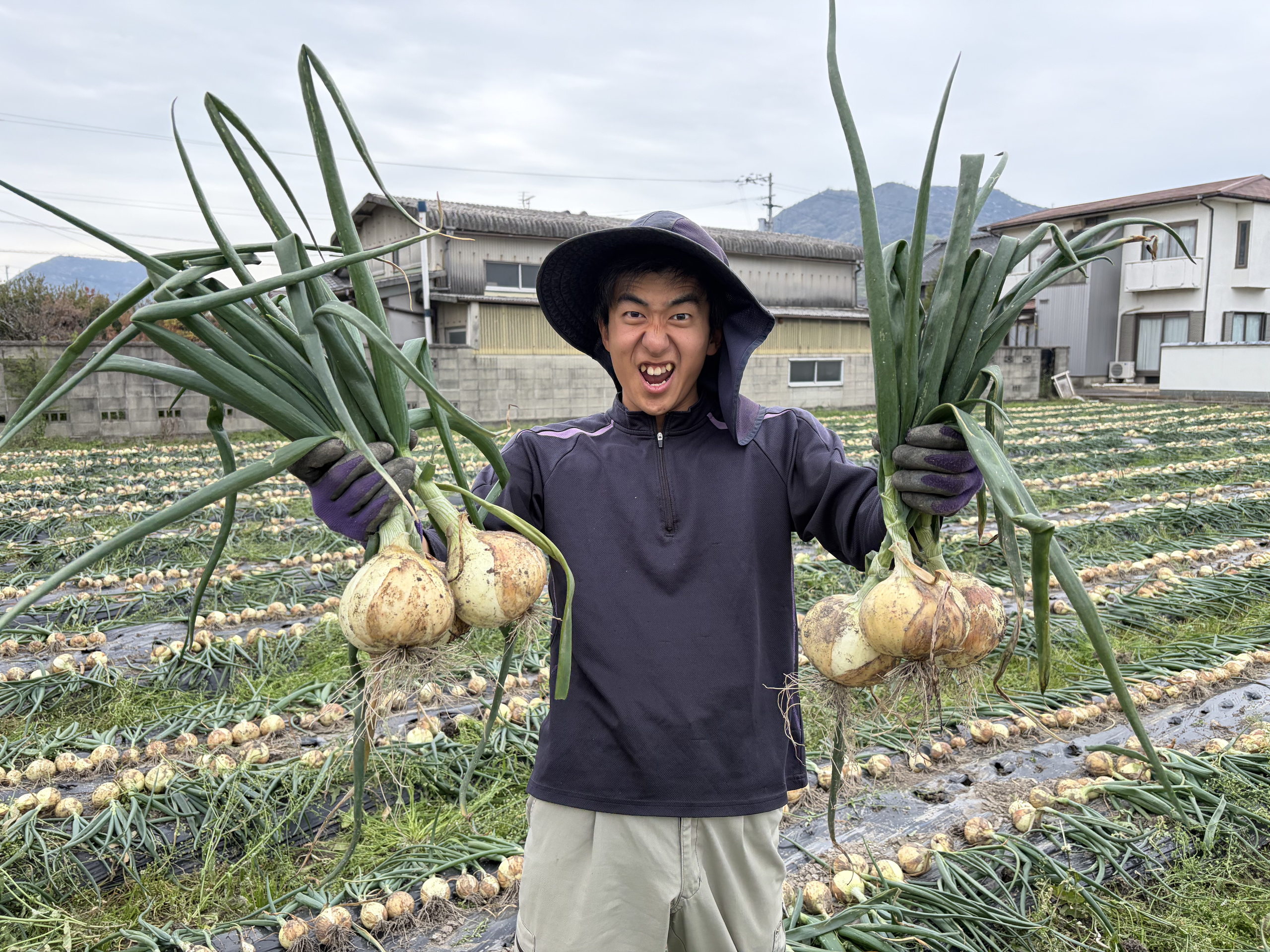 玉ねぎJogu